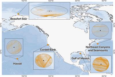 Large Vessel Activity and Low-Frequency Underwater Sound Benchmarks in United States Waters